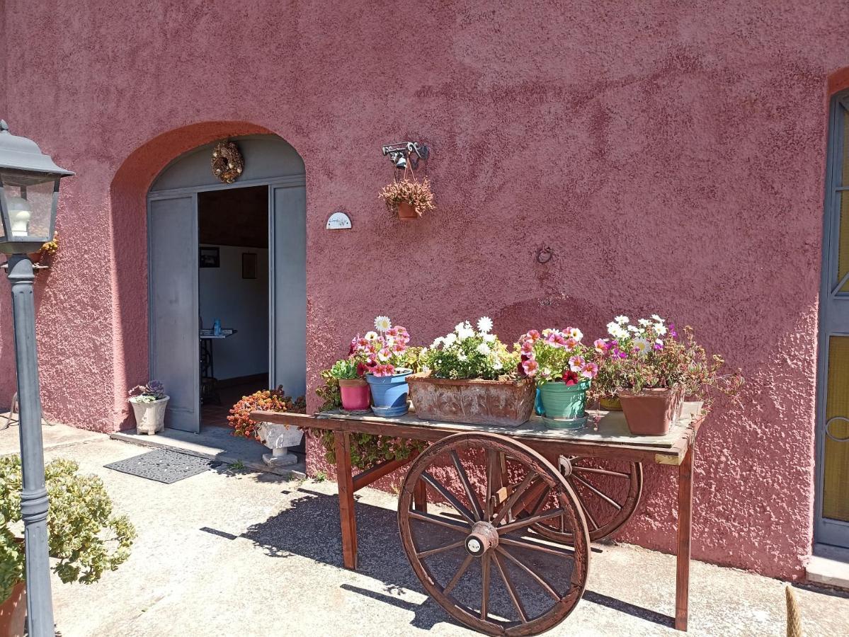 Il Baffetto B&B โรม ภายนอก รูปภาพ