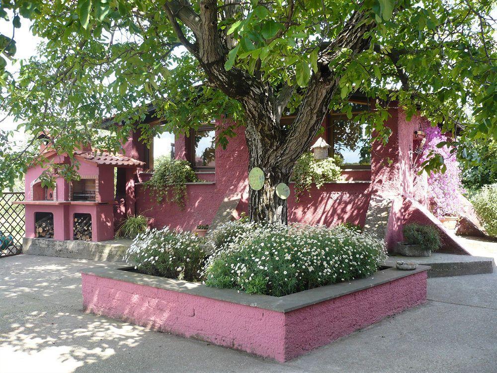 Il Baffetto B&B โรม ภายนอก รูปภาพ