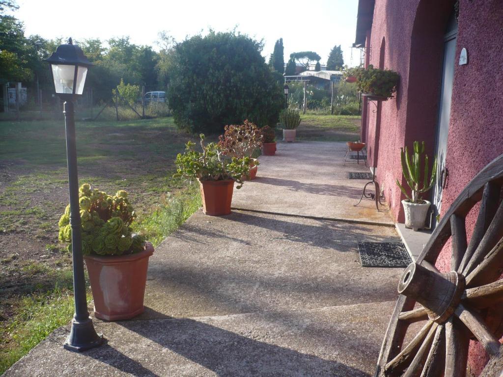 Il Baffetto B&B โรม ภายนอก รูปภาพ