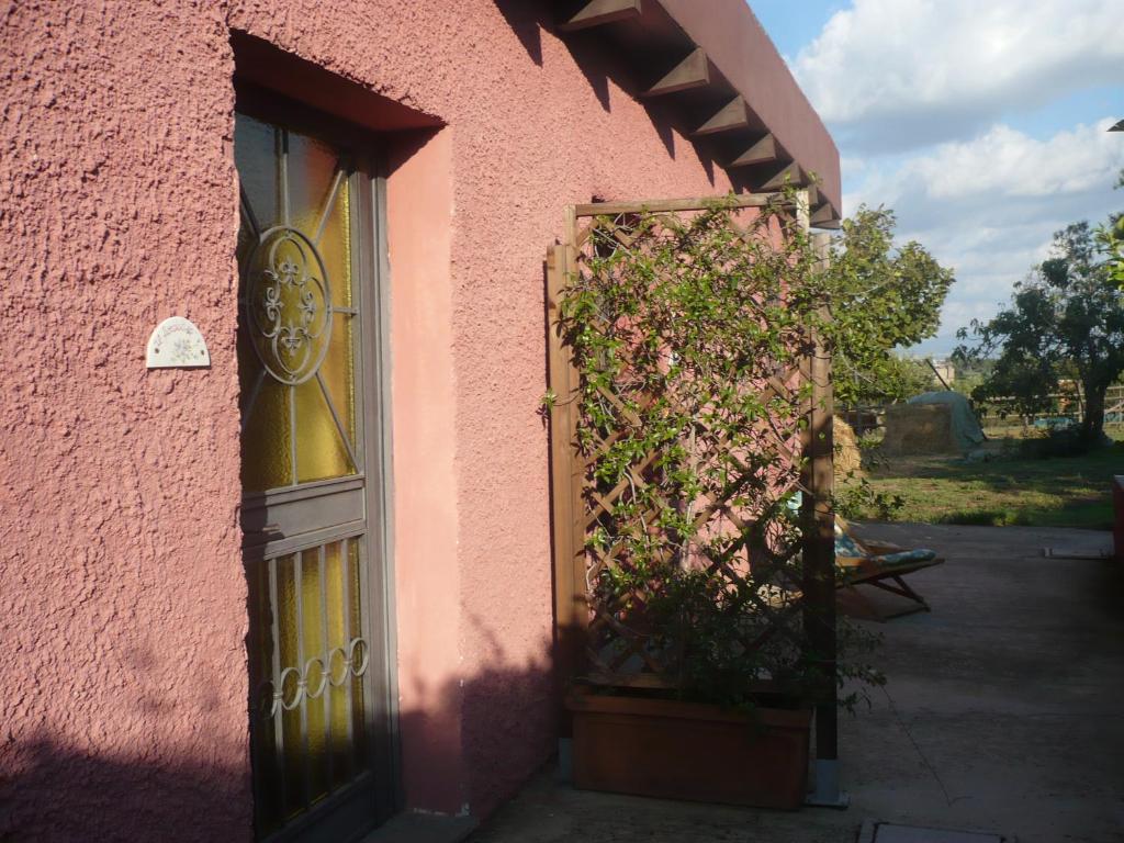 Il Baffetto B&B โรม ภายนอก รูปภาพ