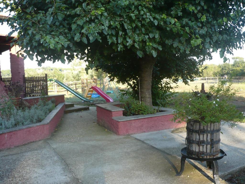 Il Baffetto B&B โรม ภายนอก รูปภาพ