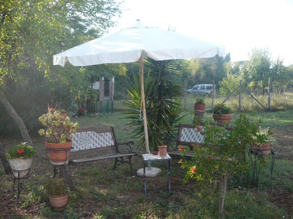 Il Baffetto B&B โรม ภายนอก รูปภาพ